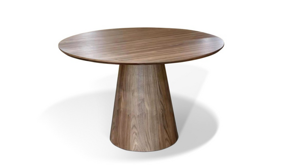 Mesa Pictor